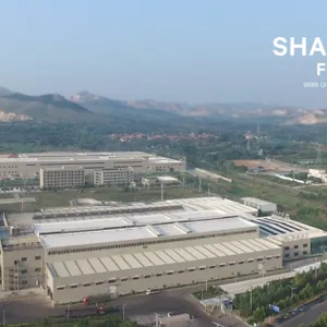 Shandong Intco Medical Company company overview - view 1 thumbnail