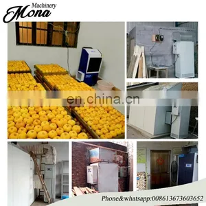 2018 Hot Sale Small Food Dryer Banana Dryer Trays Bacon Meat Dehydrator Drying Machine thumbnail-6