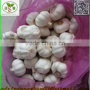 Pure White Garlic:There is no Best, Only Better! thumbnail-4