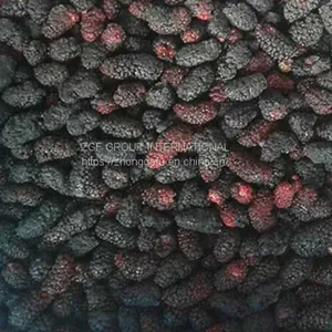 Frozen Mulberry thumbnail-1