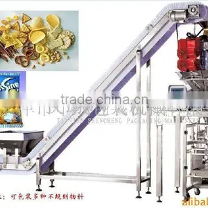 Automated Food Belt Conveyor System thumbnail-1