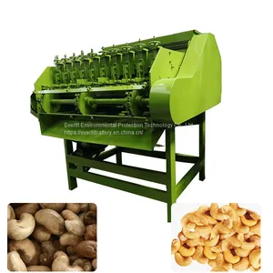 Cashew Nut Shelling Machine | Cashew Processing Equipment, Fully Automatic thumbnail-3