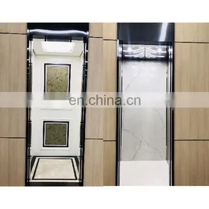 Designhome Passenger Residential Small Elevator Lift Hot Selling Hot Quality Classic for Villa House Customized 1 YEAR thumbnail-3