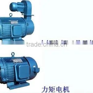 YLJ Series Three Phase Torque Motor thumbnail-1
