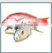 High Quality Fish Meal 70% thumbnail-1