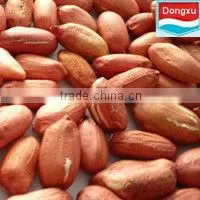 Bulk Fair Trade Red Skin Peanut Kernel thumbnail-1