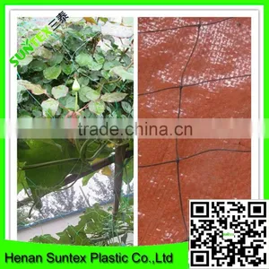 Heavy Duty Long-lasting Trellis Netting Squares Plant Support Mesh thumbnail-4