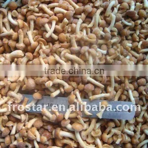 Chinese IQF Frozen Nameko thumbnail-1
