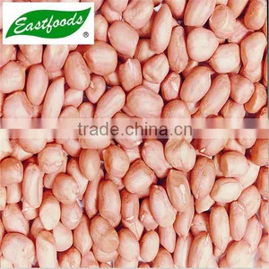New Crop Peanut Kernel thumbnail-1
