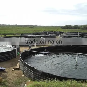 Intensive Fish Tanks Farm thumbnail-1