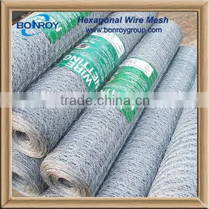 Low Price Heavy Duty Chicken Wire Netting for Sale thumbnail-1