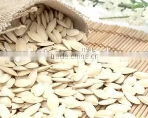 Roasted Salted Shin Skin Pumpkin Seeds thumbnail-4