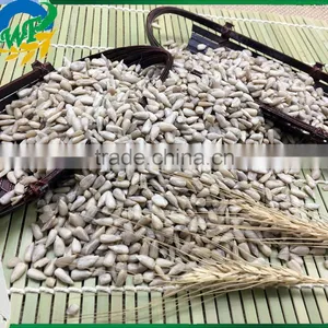 New Crop Chinese Sunflower Seed Kernel for Export thumbnail-1