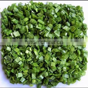 Chinese Leek/Chinese Chives thumbnail-2
