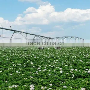 Electric Lateral Move Irrigation System Sprinkler for Agricultural thumbnail-3