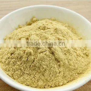 High Quality Gingerols Powder Dried Ginger Extract thumbnail-1