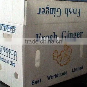 Chinese Fresh Ginger thumbnail-1