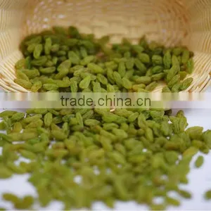 Better Chinese Raisins Than India thumbnail-1