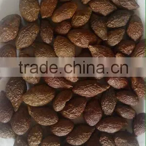 Dried Malva Nut thumbnail-2