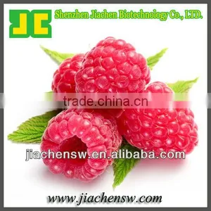 Popular Raspberry Ketone 99% With Competitive Price thumbnail-1