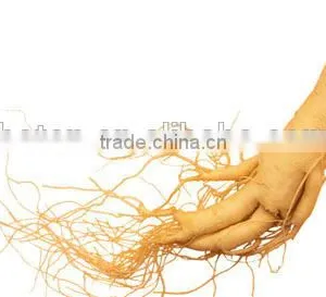High Quality Chinese Ginseng Multivitamin Capsules thumbnail-2