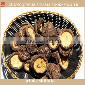 Shiitake Mushroom thumbnail-3