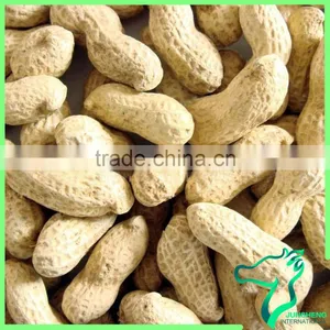Compititive Price Peanuts In Shell Wholesale Price thumbnail-6