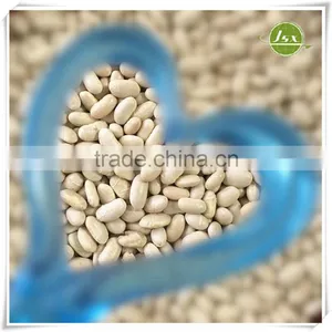 JSX Long Shape White Kidney Beans Food Trade Export thumbnail-1