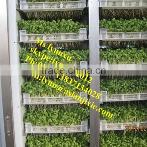 Soyabean Sprouting Machine /automatic Bean Sprout Machine thumbnail-3