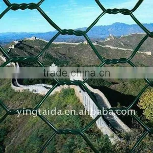 Pvc Coated Hexagonal Wire Mesh for Chicken thumbnail-1