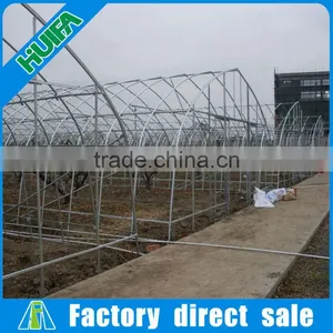New Design Hot Sale Steel Frame High Tunnel Greenhouse thumbnail-2