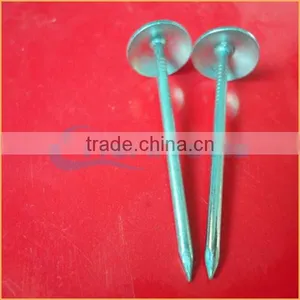 Top Quality Umbrella Head Twisted Roofing Nails Trusted Chuanghe Suppliers From Com thumbnail-2