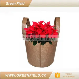 Home Decoration Plant Pot,eco Garden Plant Pot thumbnail-2