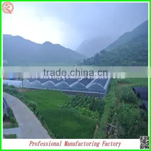 Plastic Film Commercial Greenhouses for Sale With Arched Type thumbnail-4