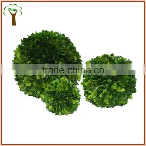Decorative Table Preserved Boxwood Ball thumbnail-1