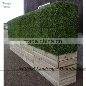 SAS016013 Plastic Cheap Artificial Boxwood Hedge thumbnail-6