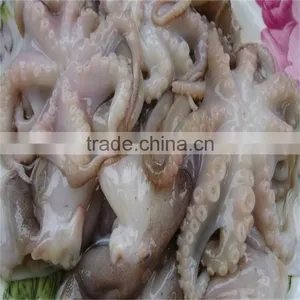 Cheap Cooked Frozen Baby Octopus for Sale From Manufacturer thumbnail-1