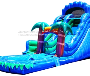 Inflatable Slip and Slide Inflatable Water Slide Axs-15 thumbnail-5