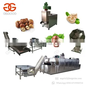 Highly Efficient Small Nut Peanut Sunflower Seeds Coffee Roaster Cashew Roasting Machine Production Line Price thumbnail-2