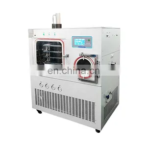 Freeze Drying in Situ Lyophilizer Machine Price thumbnail-1