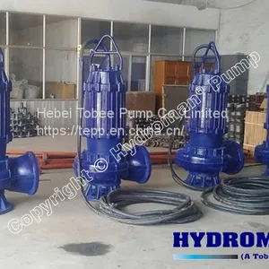 Hydroman™ 300TJQ Heavy Duty Submersible Slurry Pump thumbnail-1