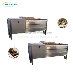 Potato / Carrot / Pumpkin / Lotus Root Brush Washing & Peeling Machine thumbnail-2