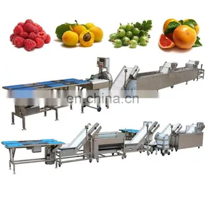 Date Washing Line Saudi Arabia Dates Cleaning Equipment Jujube Processing Sorting Machine thumbnail-3