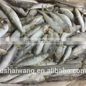 Land Frozen Whole Sardine From China thumbnail-2