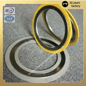 Special Outer Ring Metal Spiral Wound Sealing Gasket for Heat Exchangers thumbnail-1