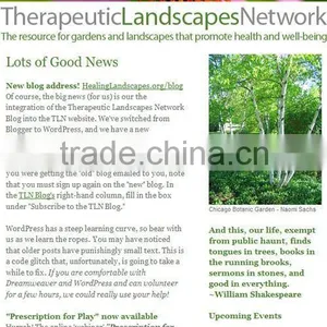 Flower Shop Newsletter Template Design thumbnail-1