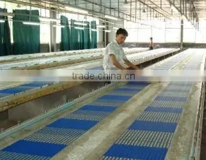 Fuzhou Xiangxing Textile Co., Ltd. company overview - view 3 thumbnail
