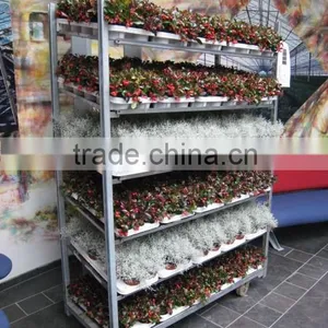 Traditional Flower Trolley/danish Trolley/eu Trolley thumbnail-1
