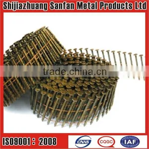 Stainless Steel Coil Nail thumbnail-1