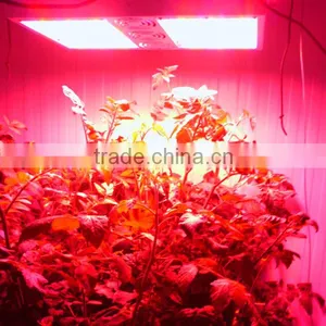 Lumini Smart Hydroponics Grow Light System thumbnail-4